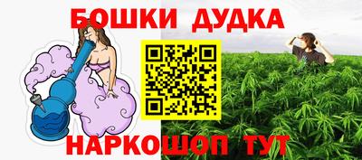 шишки Балашиха