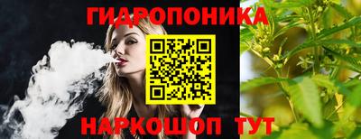 шишки Балашиха