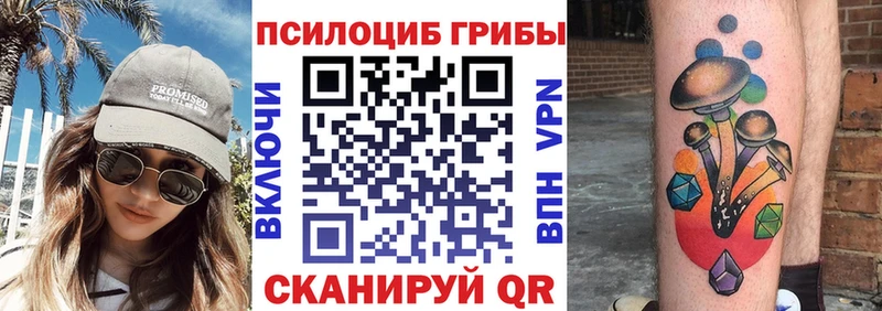 Псилоцибиновые грибы прущие грибы  Барнаул 