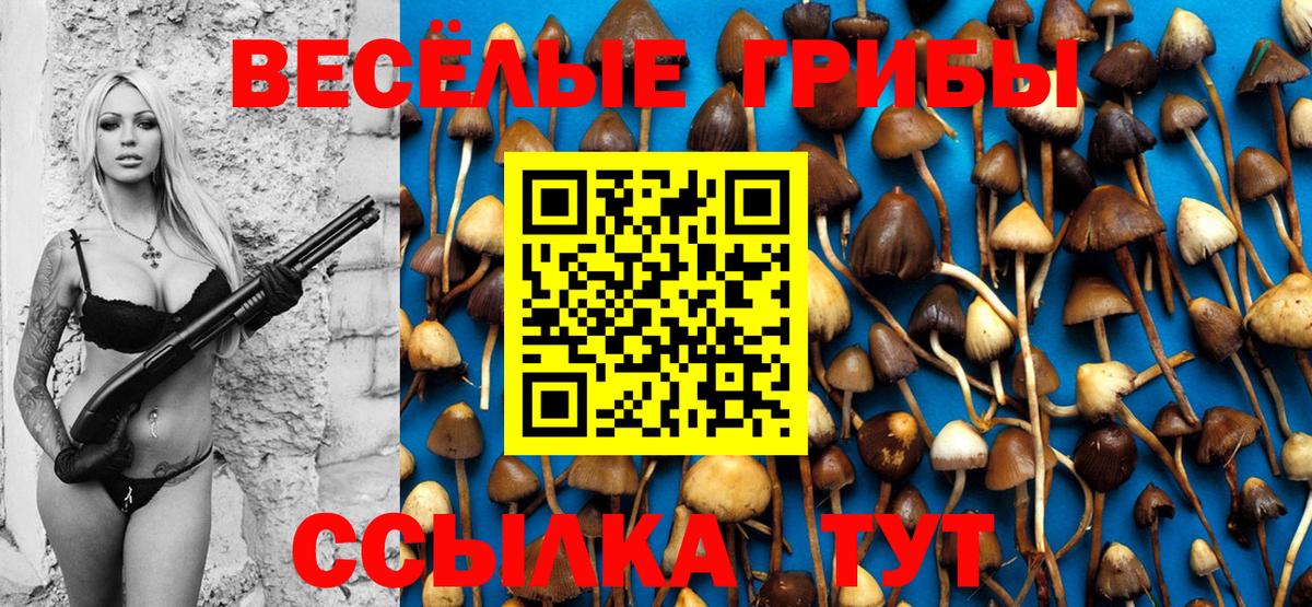Псилоцибиновые грибы GOLDEN TEACHER Барнаул