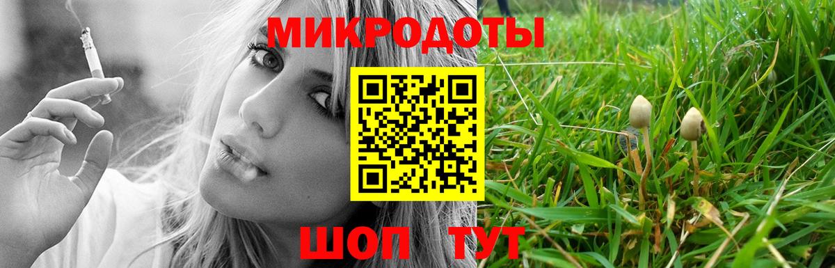 Псилоцибиновые грибы Psilocybine cubensis  Вход с VPN  Барнаул  Галлюциногенные грибы Cubensis 