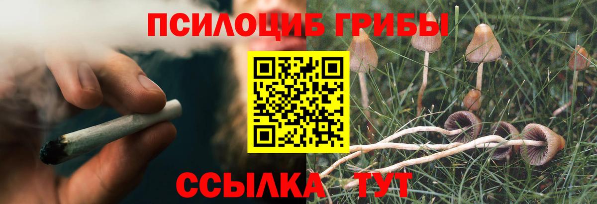 Галлюциногенные грибы MAGIC MUSHROOMS  Барнаул 