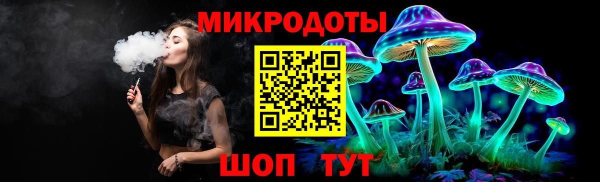 Псилоцибиновые грибы Psilocybe Барнаул